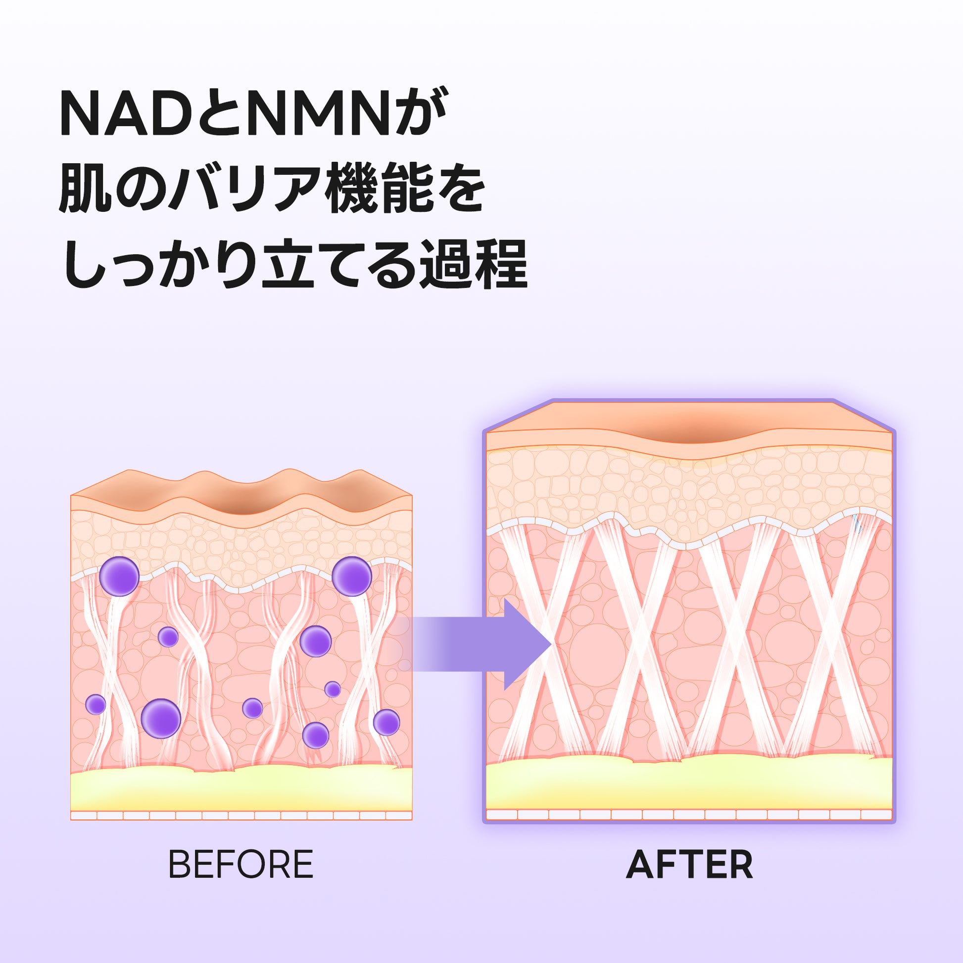 アレンシア NAD+ブースターショット 30ml